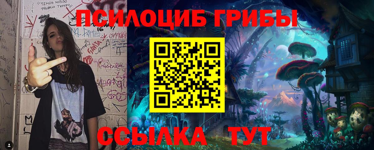 Прохладный  Псилоцибиновые грибы GOLDEN TEACHER  Вход с VPN  Галлюциногенные грибы Psilocybine cubensis 